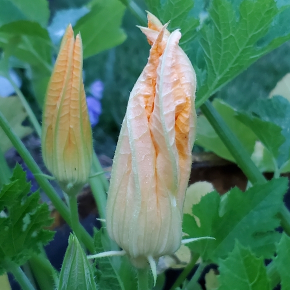 Welcome To My Closet - Picture 16 of 16